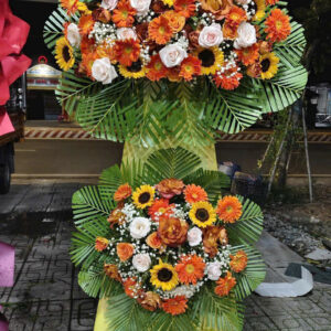 HOA KHAI TRƯƠNG - KT02