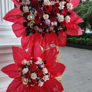 HOA KHAI TRƯƠNG - KT03
