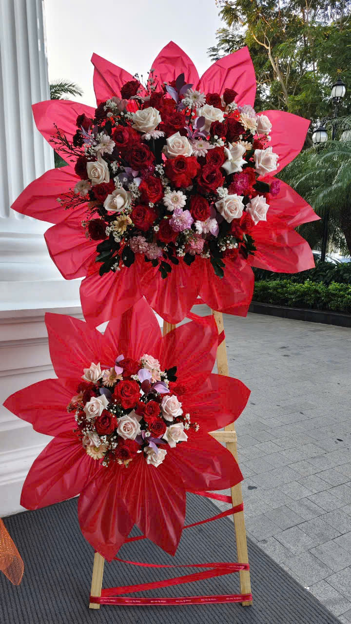 HOA KHAI TRƯƠNG - KT03