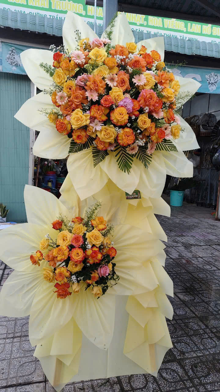HOA KHAI TRƯƠNG - KT03