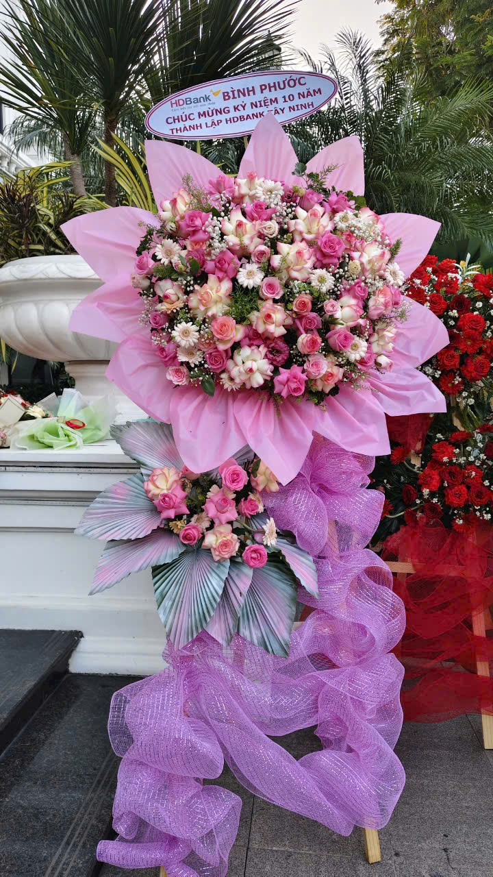 HOA KHAI TRƯƠNG -KT04
