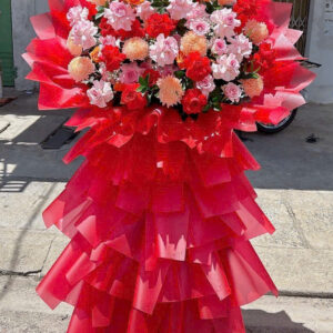 HOA KHAI TRƯƠNG - KT07