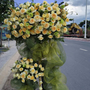 HOA KHAI TRƯƠNG-KT11