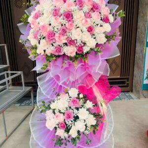HOA KHAI TRƯƠNG - KT08