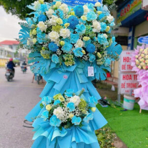 HOA KHAI TRƯƠNG - KT12