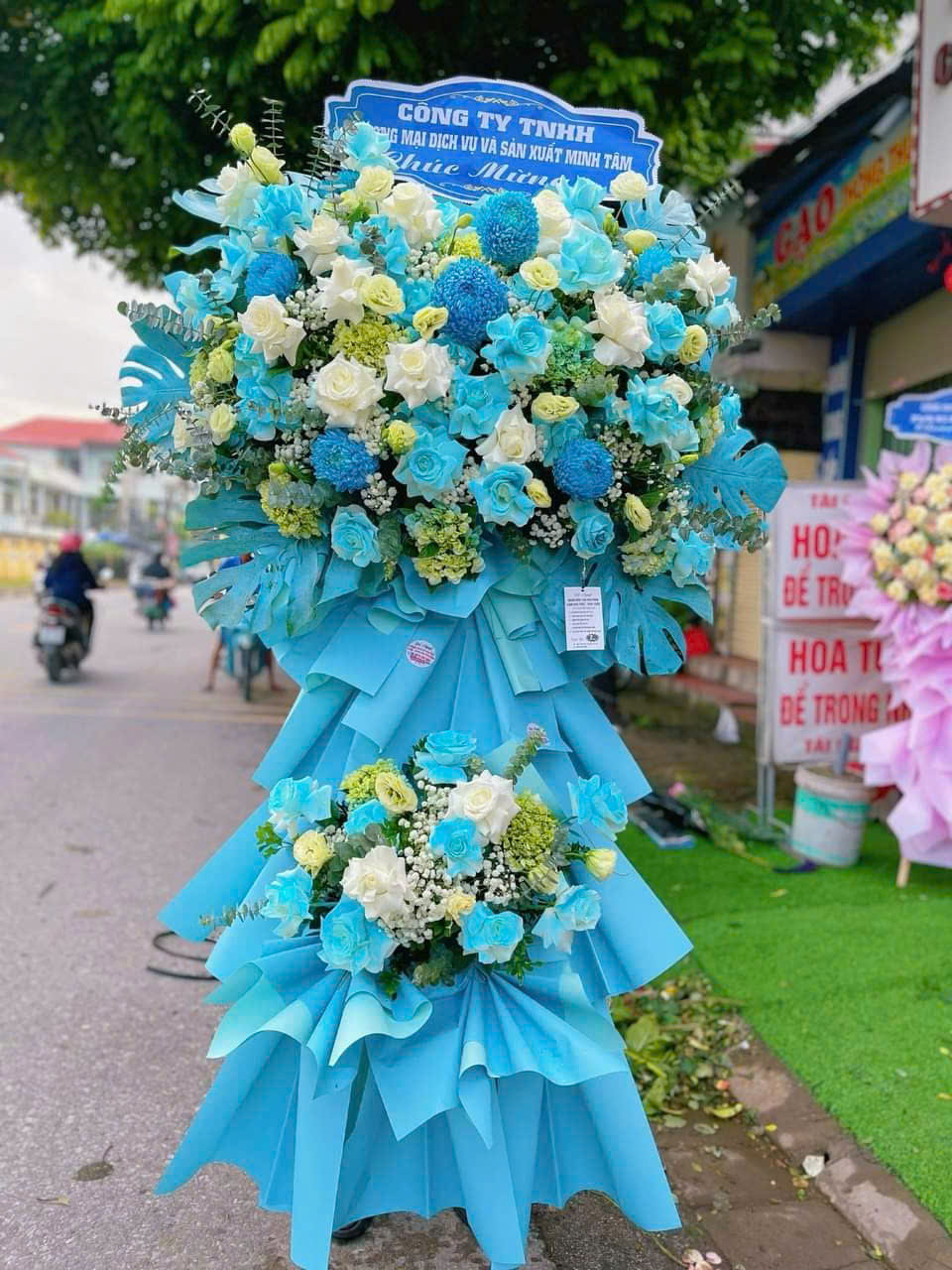 HOA KHAI TRƯƠNG - KT12