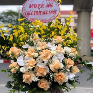 HOA GIỎ-HG09