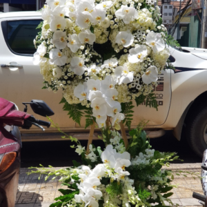 HOA VIẾNG-HV18