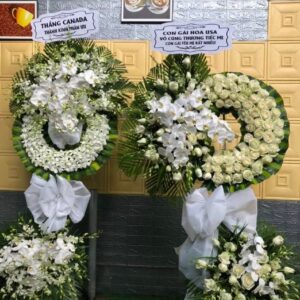 HOA VIẾNG-HV1