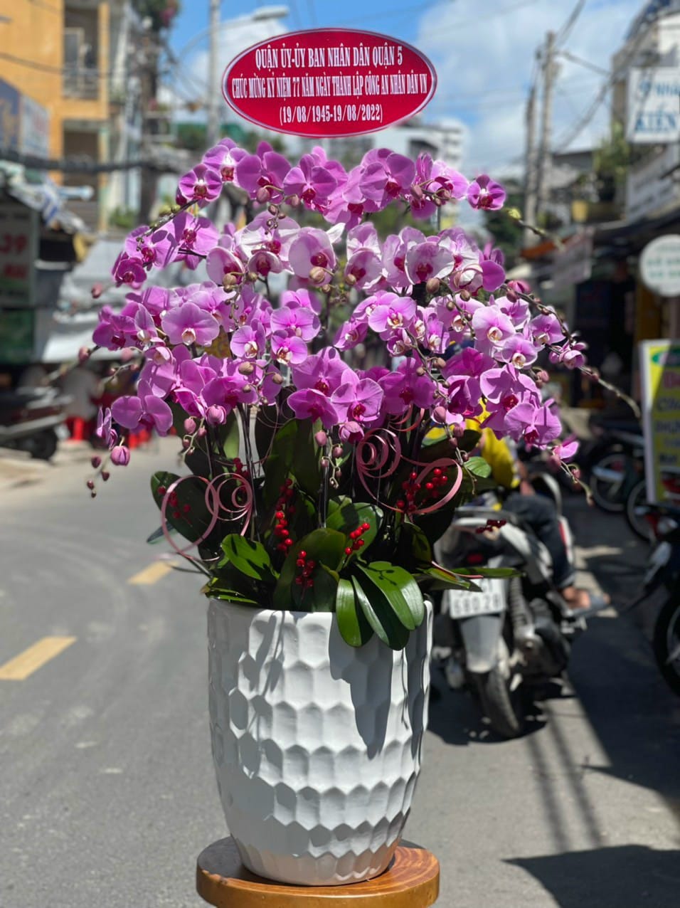 LAN HỒ ĐIỆP-LHĐ10