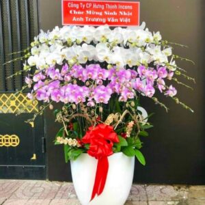 LAN HỒ ĐIỆP-LHĐ09