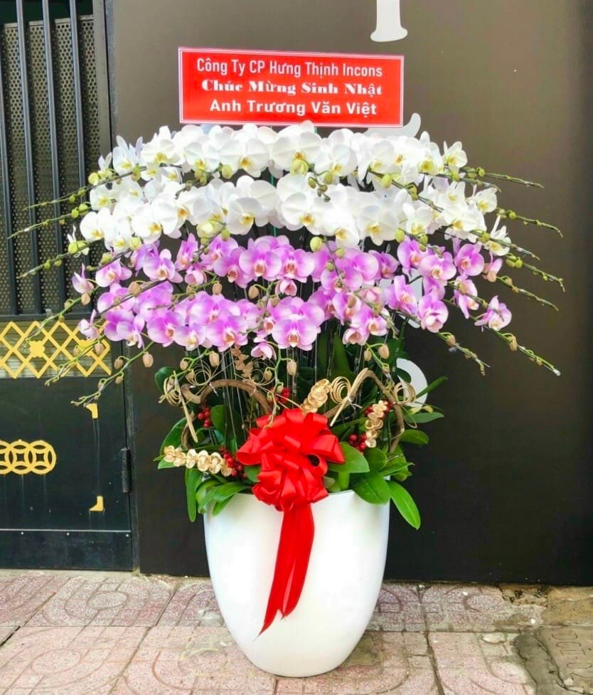 LAN HỒ ĐIỆP-LHĐ09