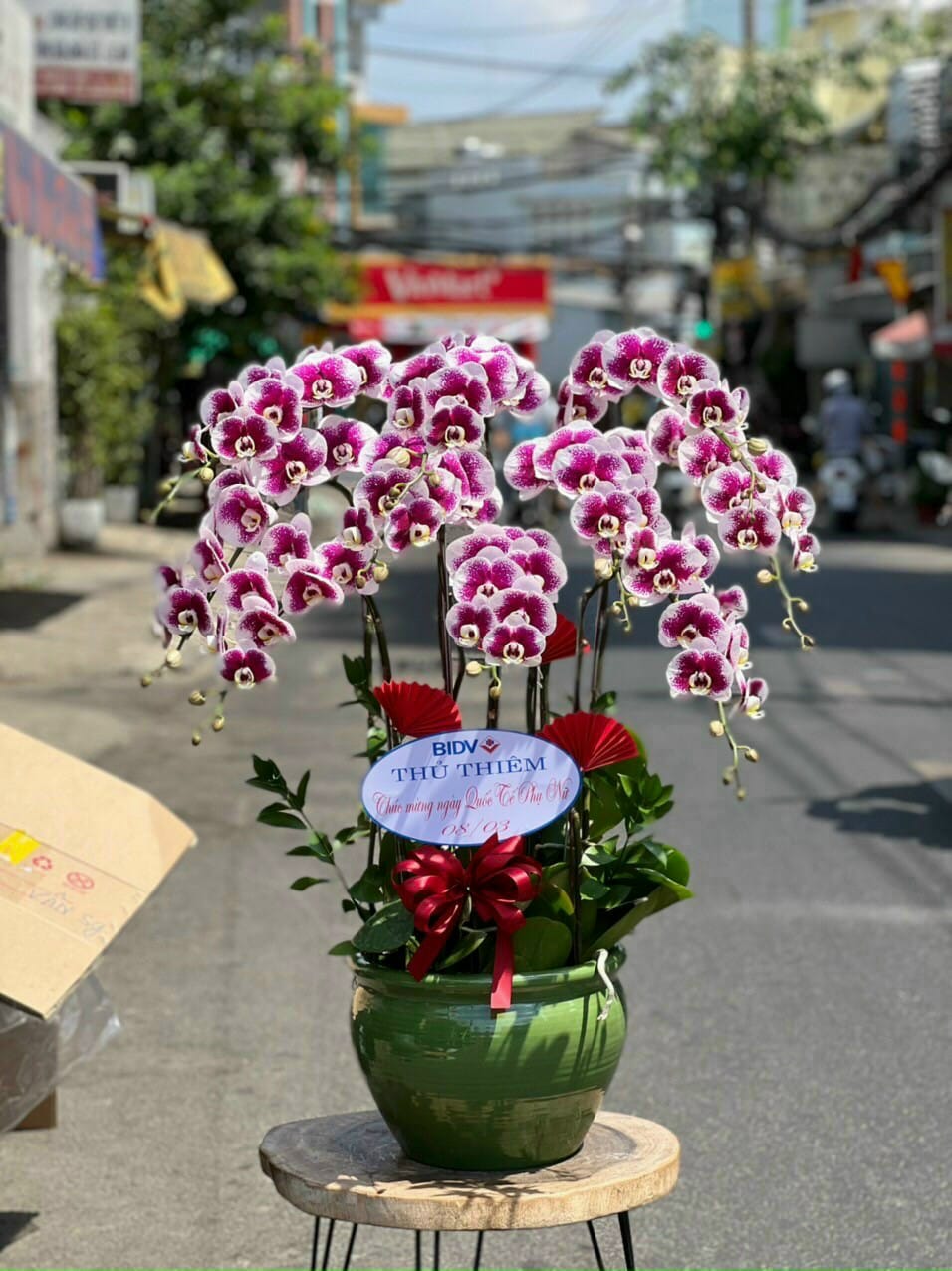 LAN HỒ ĐIỆP-LHĐ08