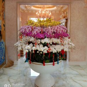 LAN HỒ ĐIỆP-LHĐ07